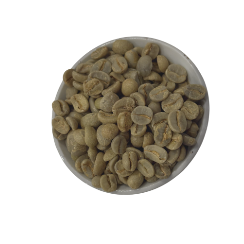 Brazilian- green coffee beans-CSF