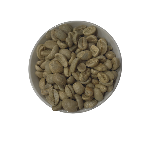 Colombia- green coffee beans-CSF