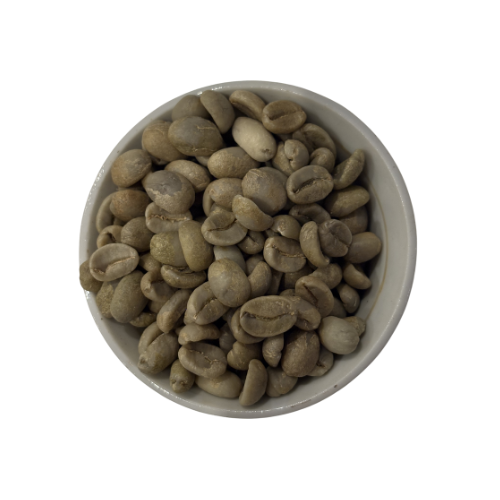 Indian- green coffee beans-CSF