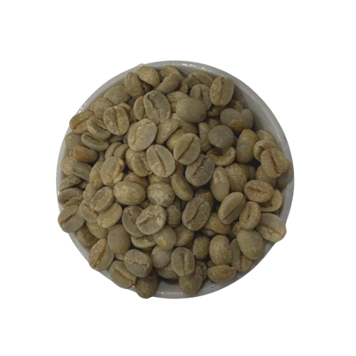 Yemen- green coffee beans-CSF